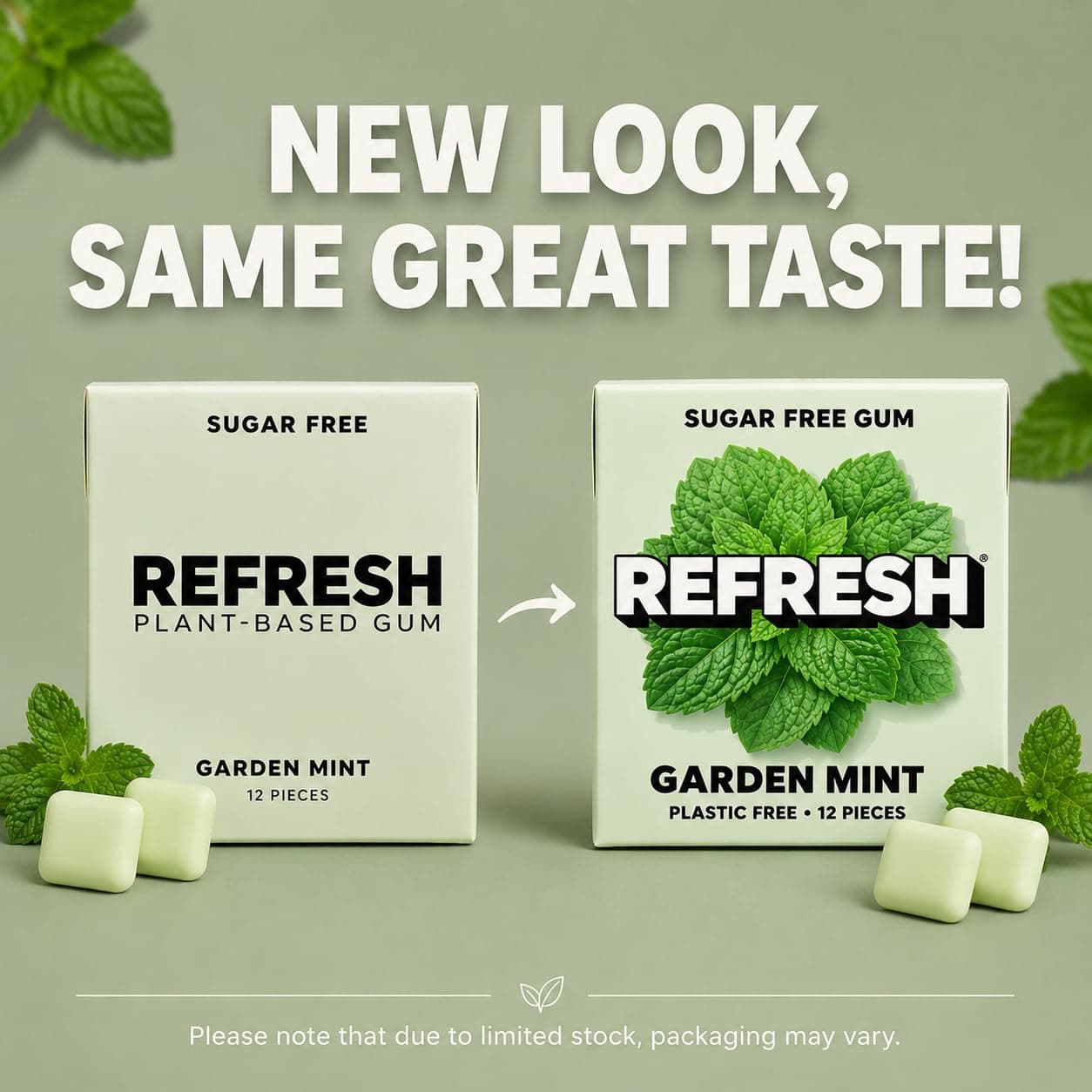 Refresh Gum, Sugar Free, Natural, Xylitol, Long Lasting Chewing Gum, Natural Flavors, Organic Ingredients, Plastic Free, Non GMO, Gluten Free, Vegan (Garden Mint) thumbnail 2