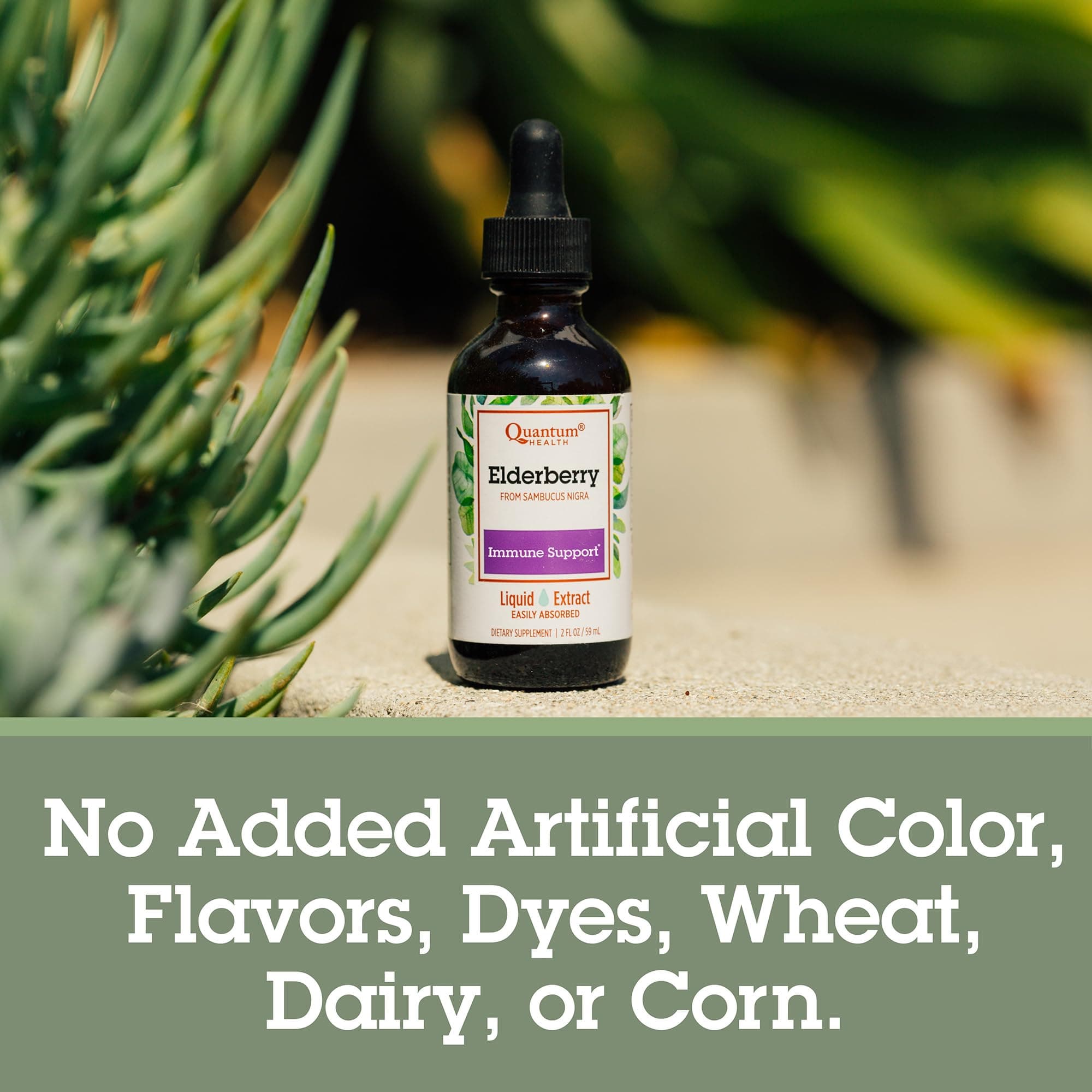 Quantum Health Black Elderberry Liquid Extract Sambucus Nigra Immune Support Formula 700mg - Daily Wellness Boost of Potent Antioxidants for Women & Men - High Dose, Fast Absorption, Vegan - 2 Fl Oz thumbnail 6