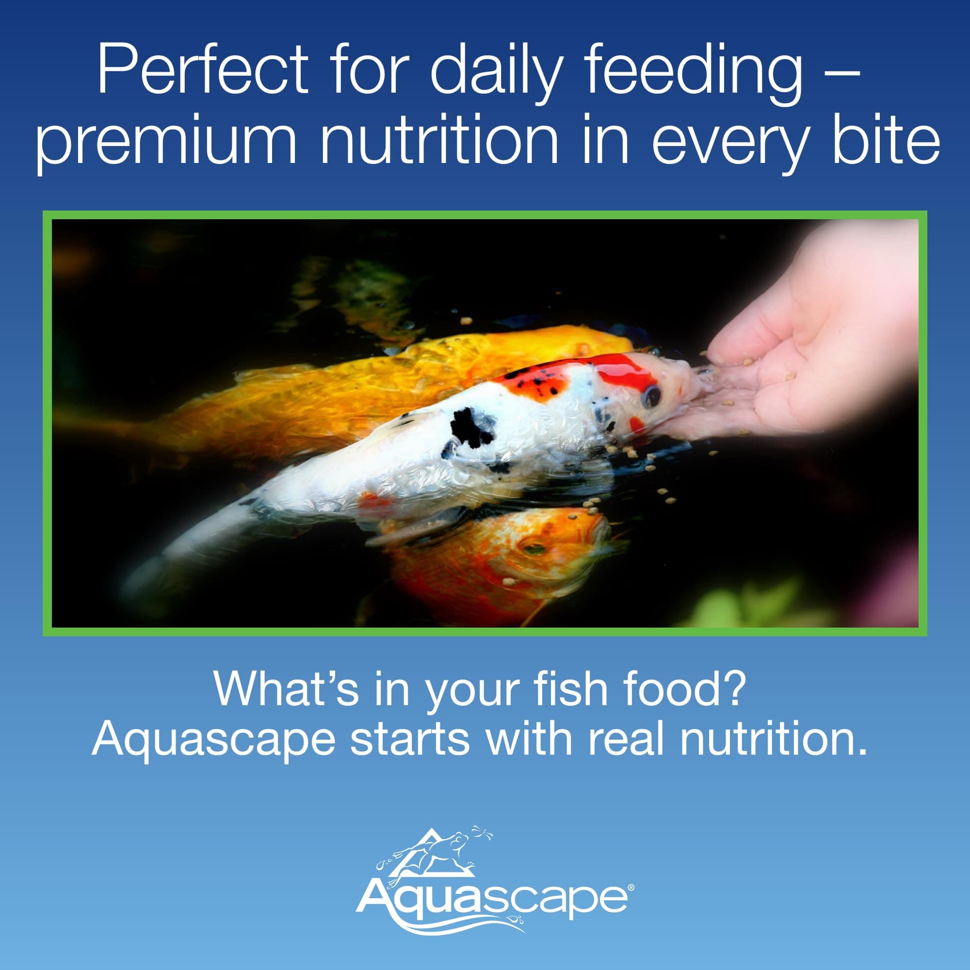 Aquascape Premium Staple Pond and Koi Fish Food, Mixed Pellet Size, 4.4 Pounds, 81052 thumbnail 3