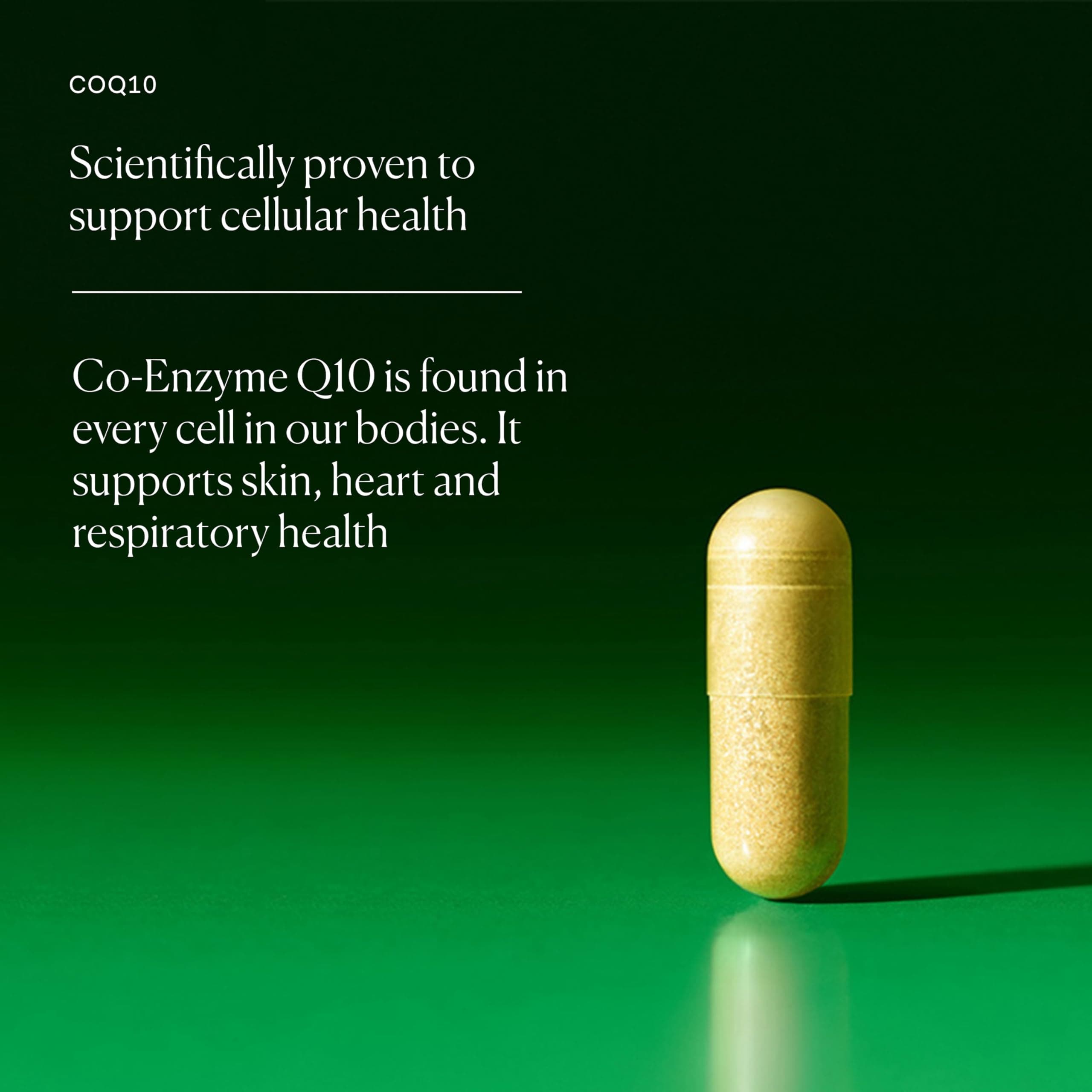 The Nue Co. COQ10 Supplement, Supports Energy, Skin, & Cardiovascular Health, Antioxidant, Vegan, Gluten Free, 30 Capsules thumbnail 4