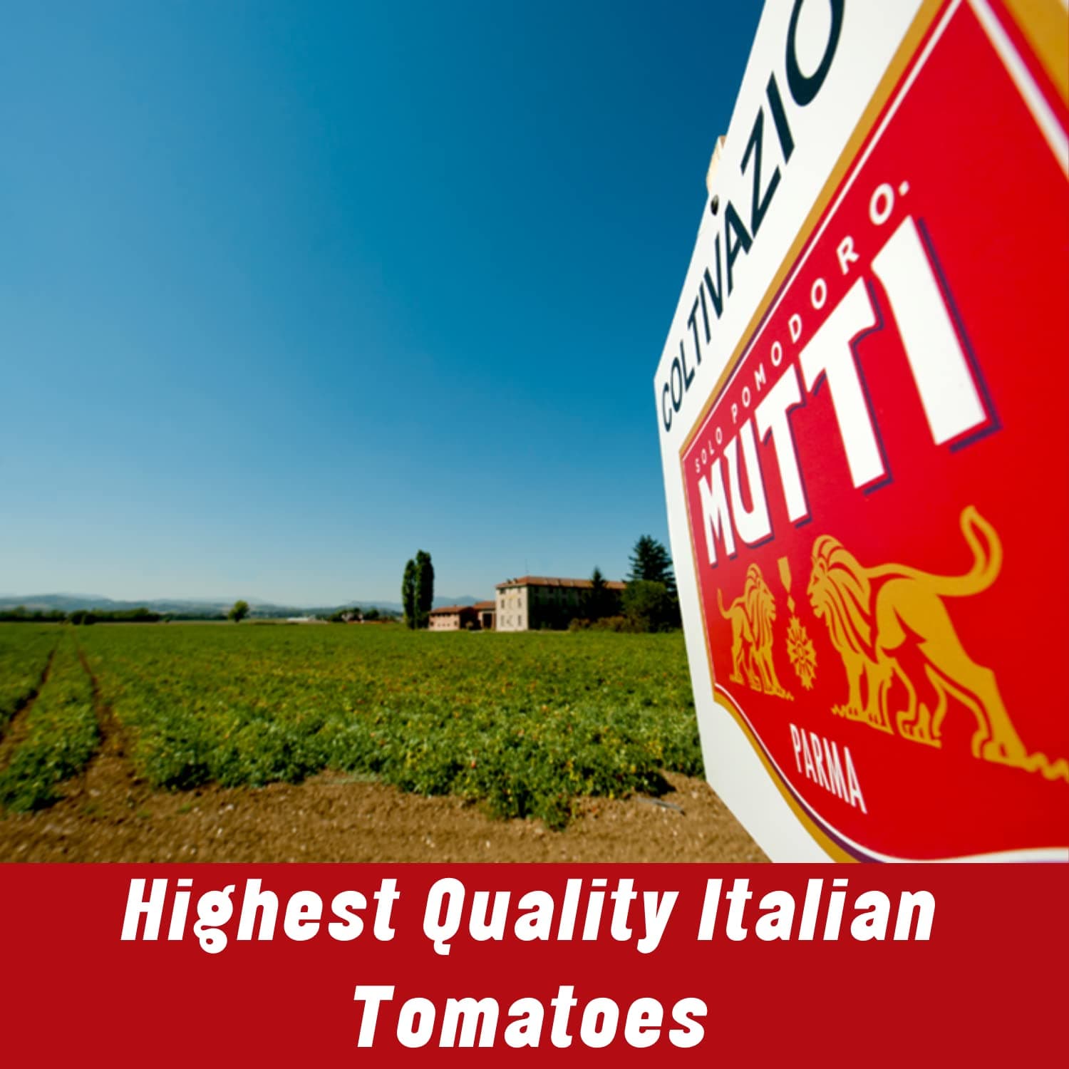 Mutti Double Concentrated Tomato Paste (Doppio Concentrato), 4.5 oz. Tube | 4 Pack | Italy’s #1 Brand of Tomatoes | Tube Tomato Paste | Vegan Friendly & Gluten Free | No Additives or Preservatives thumbnail 6