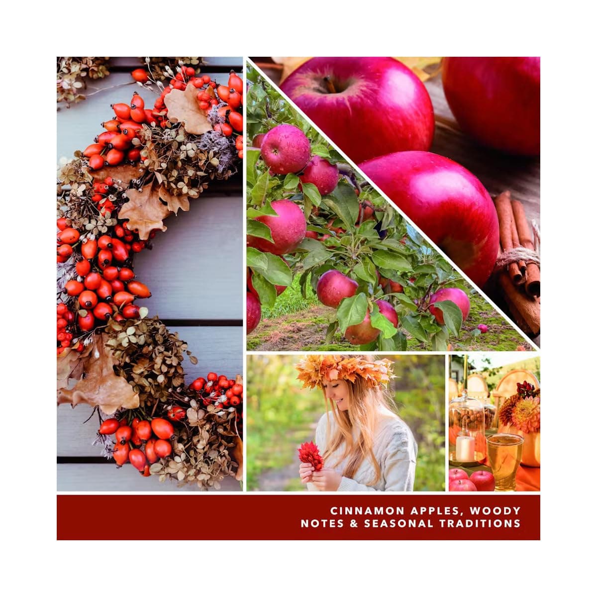 Yankee Candle Autumn Wreath Car Jar Ultimate Air Freshener, Food & Spice Scent thumbnail 4