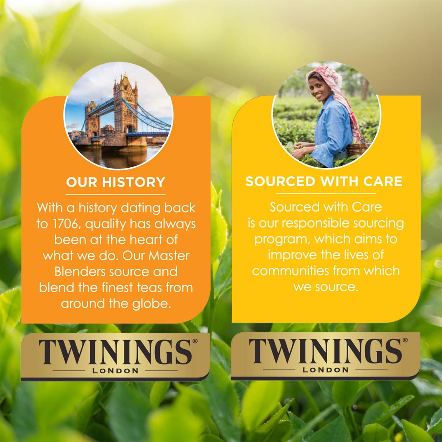 Twinings Pure Camomile Herbal Tea - Naturally Caffeine-Free Camomile Tea Bags Individually Wrapped, 50 Count Ea thumbnail 6