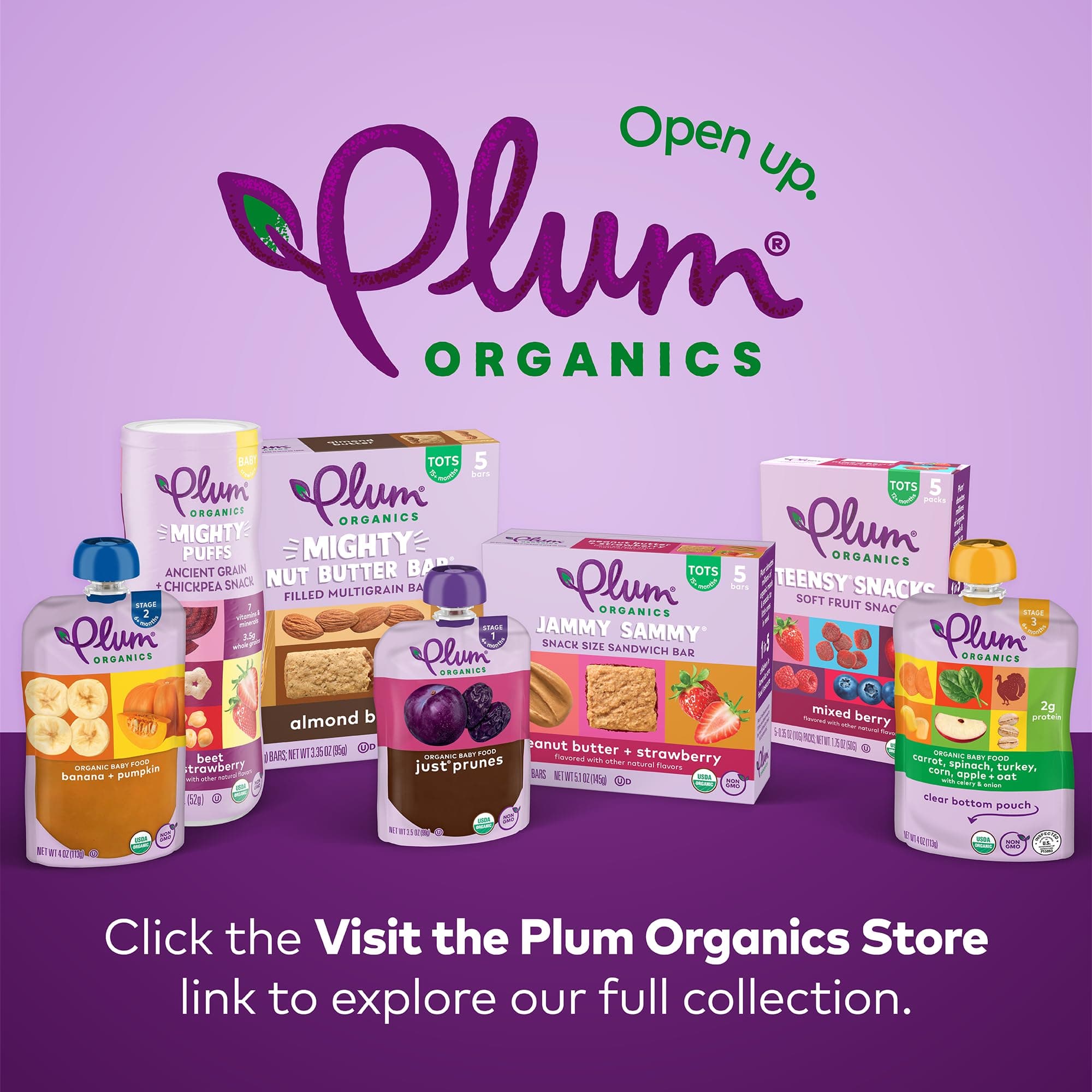 Plum Organics Mighty Snack Bars - Blueberry - 0.67 oz Bars (Pack of 6) - Organic Fruit and Vegetable Toddler Food Snack Bars thumbnail 2