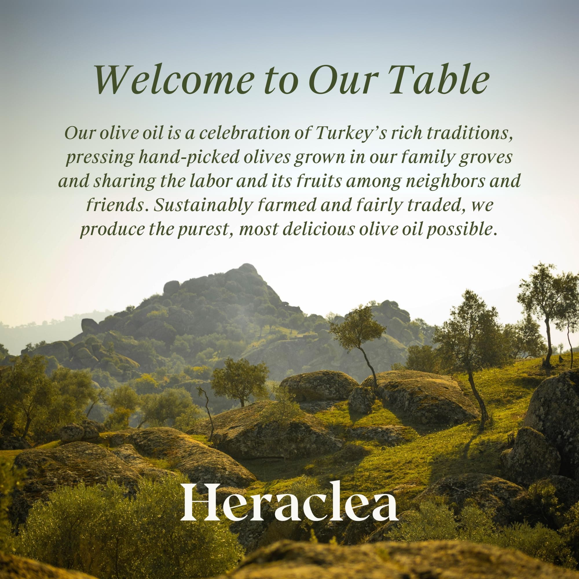 Heraclea - Everything Oil - Extra Virgin Olive Oil - Cold Pressed - Polyphenol Rich EVOO - 33.8oz Bottle thumbnail 8
