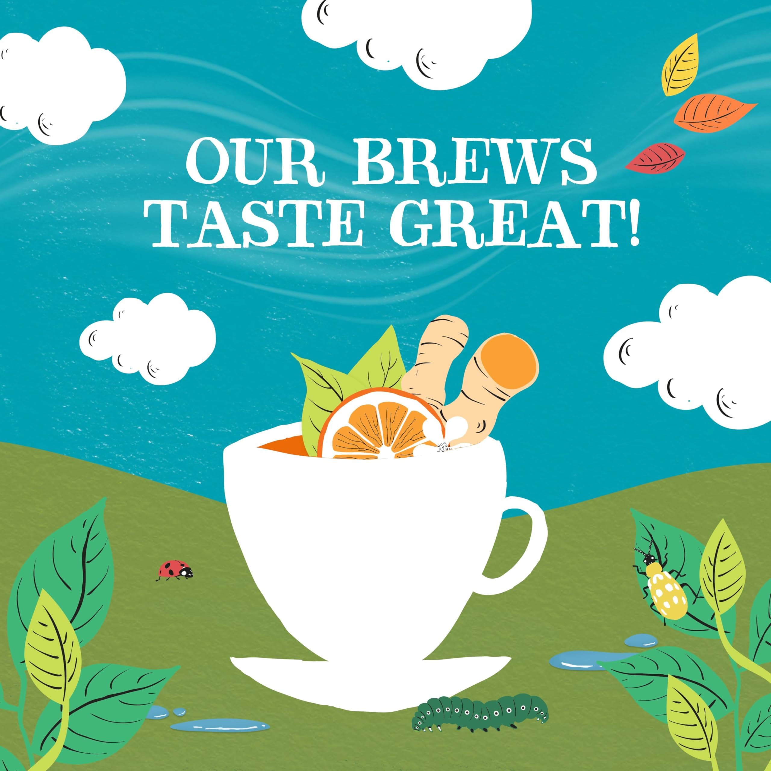 Clipper Tea, Orange & Turmeric, Organic Tea with Licorice Root, Orange Peel and Hibiscus, Plant Based Herbal Tea, Caffeine Free British Tea, 1 Pack, 20 Unbleached Tea Bags thumbnail 5