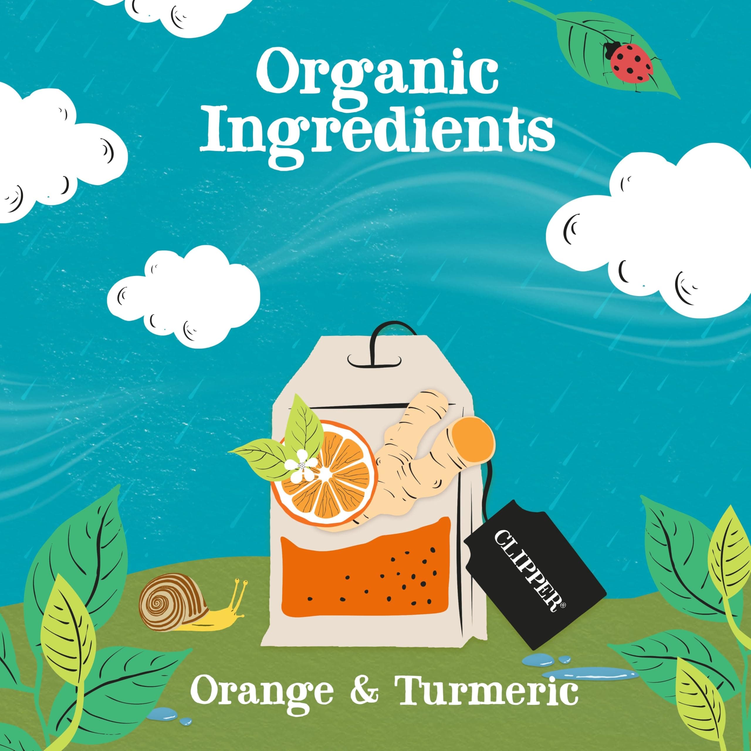 Clipper Tea, Orange & Turmeric, Organic Tea with Licorice Root, Orange Peel and Hibiscus, Plant Based Herbal Tea, Caffeine Free British Tea, 1 Pack, 20 Unbleached Tea Bags thumbnail 4
