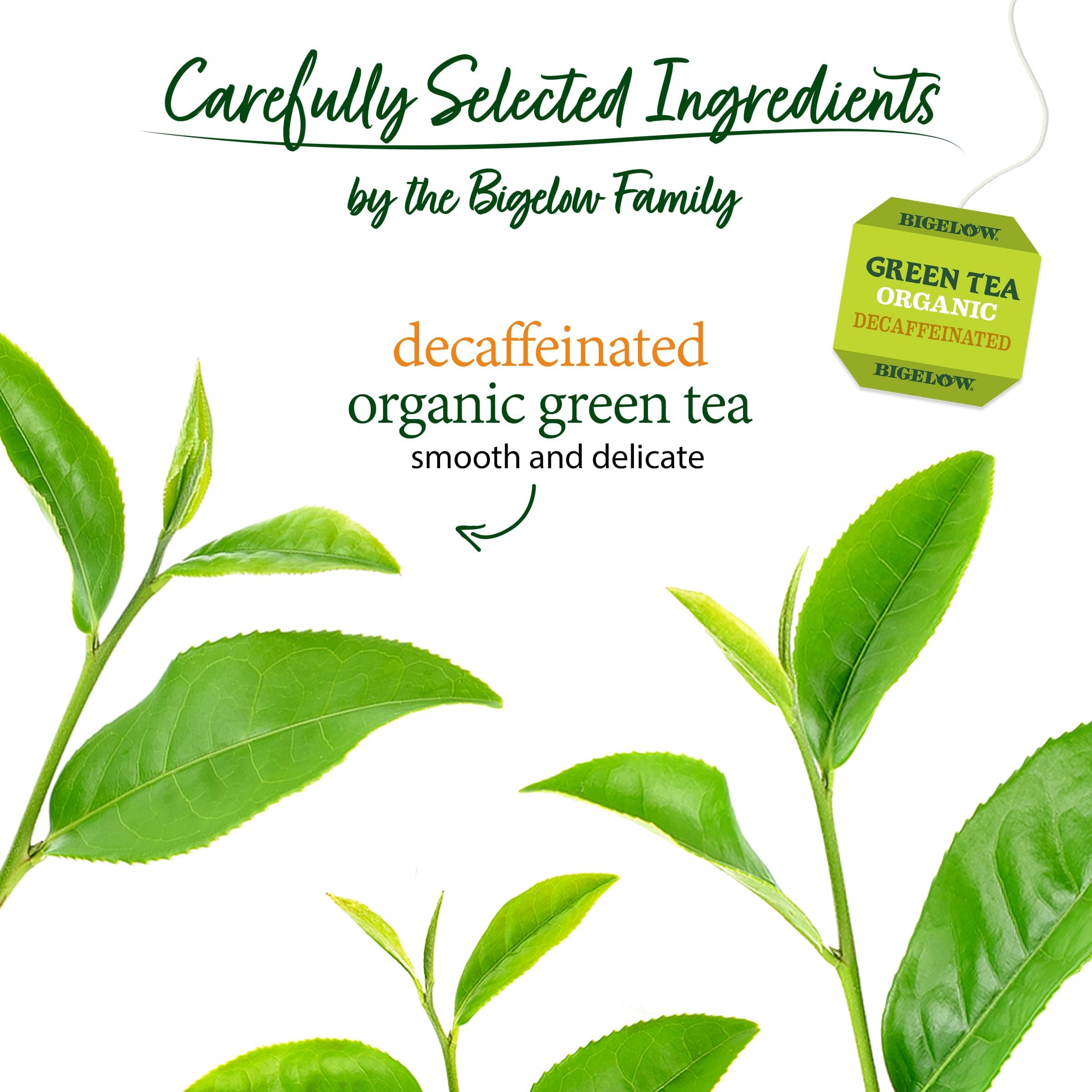 Bigelow Tea Decaffeinated Organic Green Tea Bags, 40 ct thumbnail 3