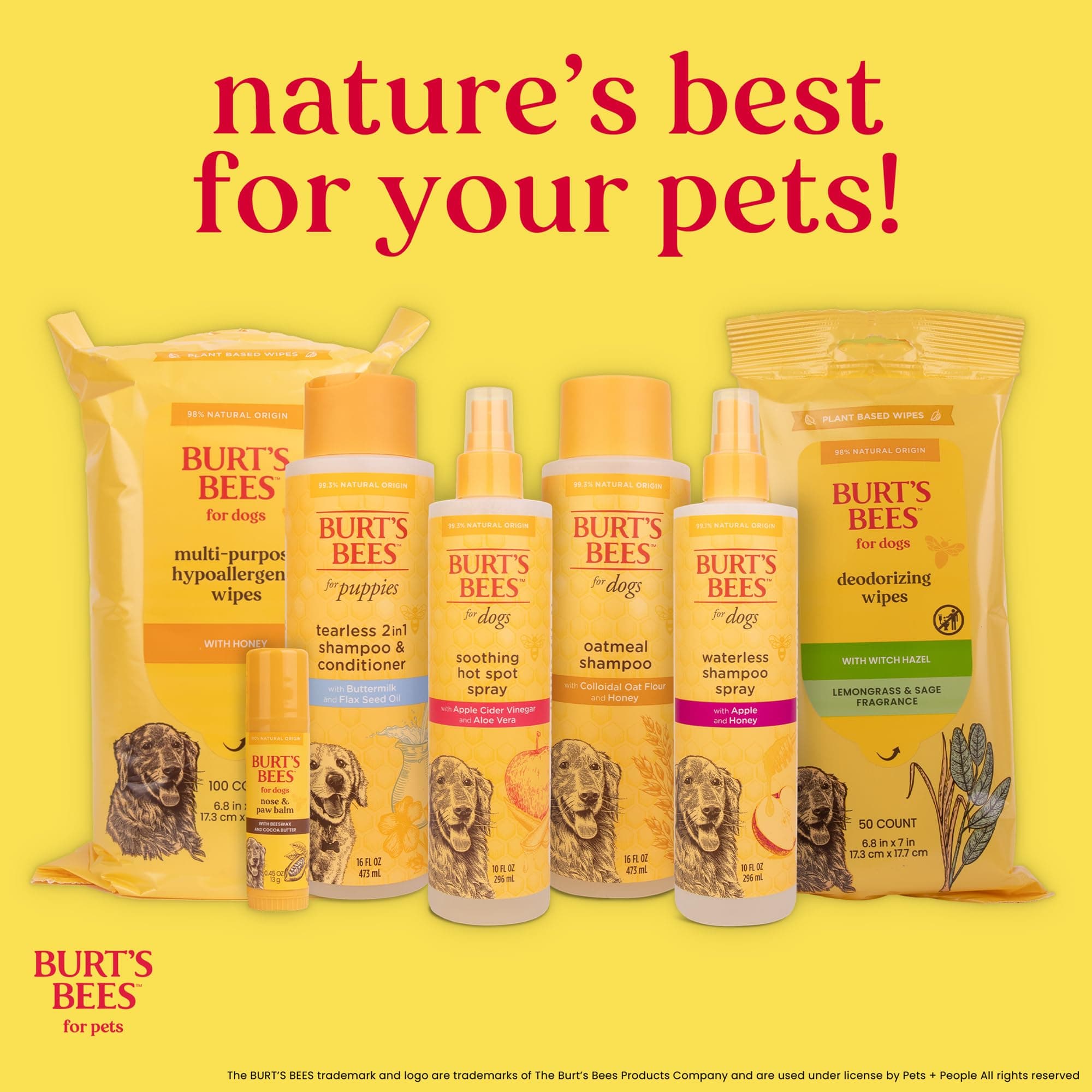 Burt's Bees for Pets Palm Brush with Hemp Bristles for Large Dogs, Ergonomic Handle Reduces Wrist Stress, Removes Dirt and Debris, Ideal for Daily Grooming, Made of Bamboo and Recycled Materials thumbnail 6