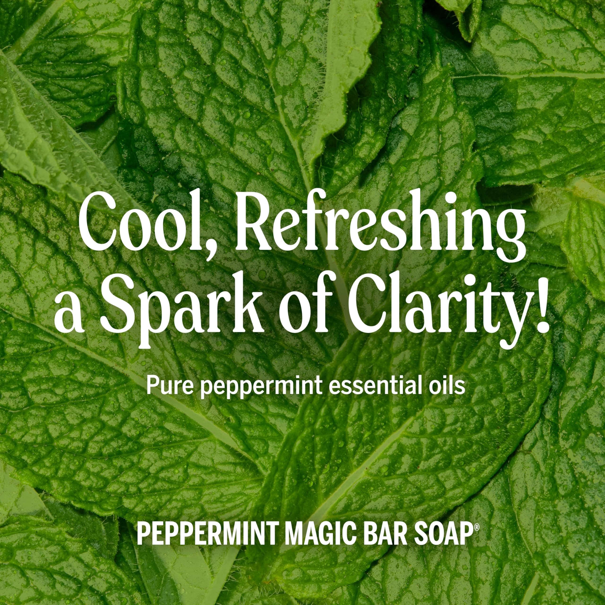 Dr. Bronner's Pure-Castile Magic Bar Soap (Peppermint, 5oz, 12-Pack) – Made with Regenerative Organic Certified Oils, Soap Bars for Men & Women, Vegan, Cruelty-Free, Non-GMO thumbnail 5